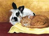 Cat and Rabbit